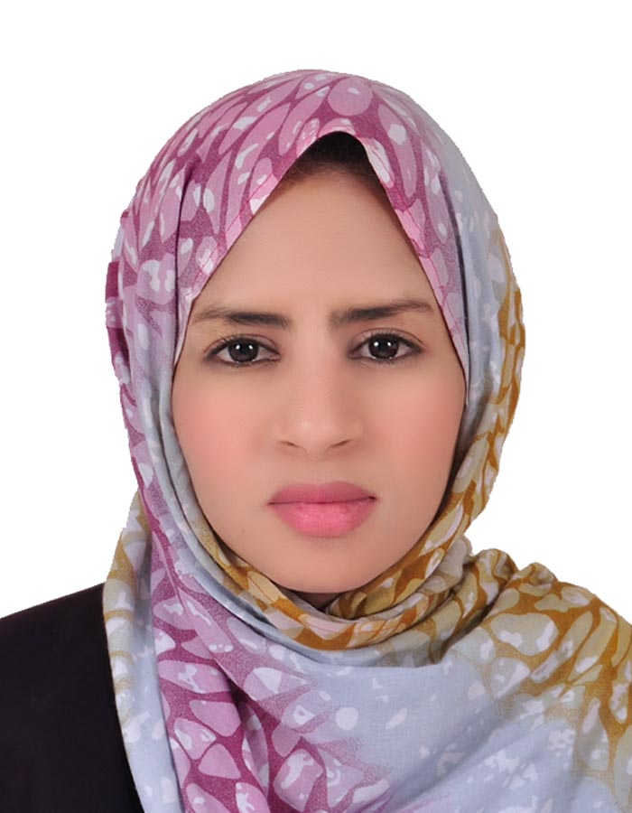 الدولة بيروكي الدولة بيروكي