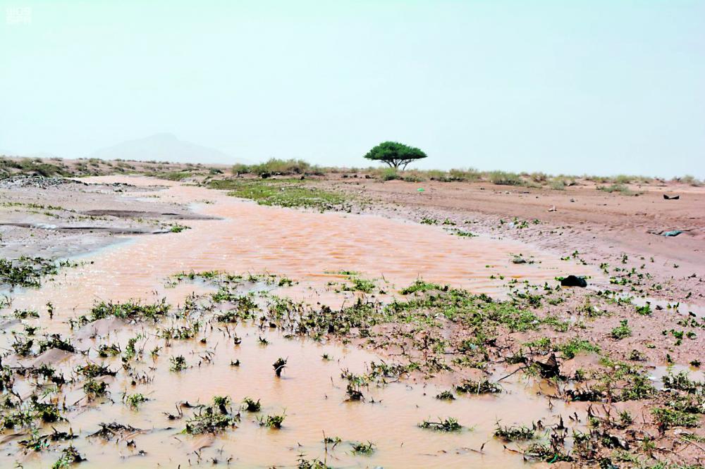 هطول أمطار غزيرة بالرس