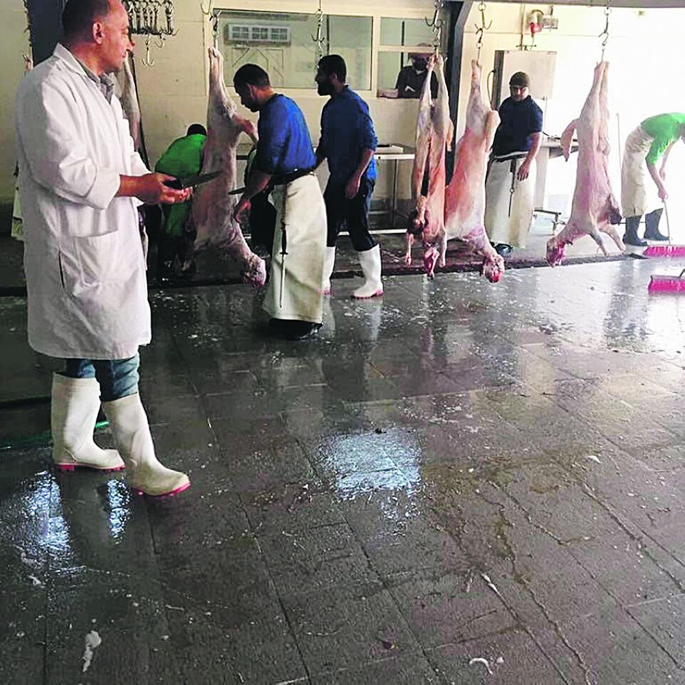 مسلخ القطيف يستقبل 15 ألف ذبيحة