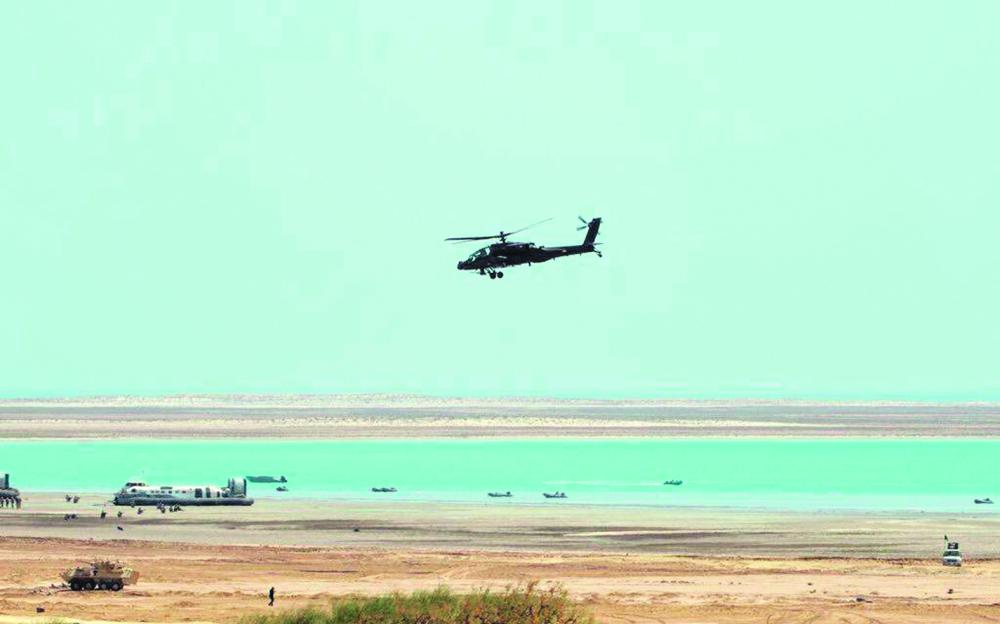 صور إضافية