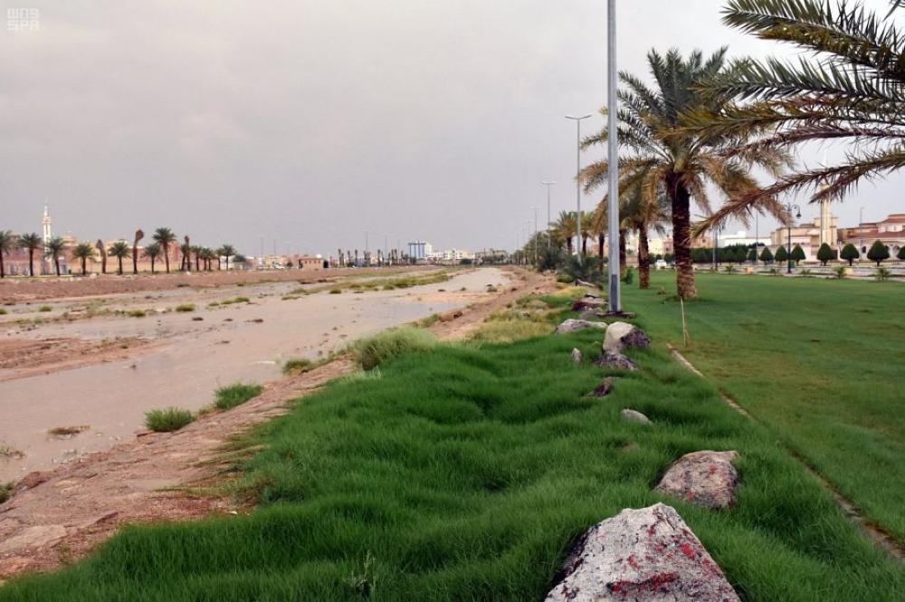 بالصور .. هطول أمطار على مراكز وقرى الرس