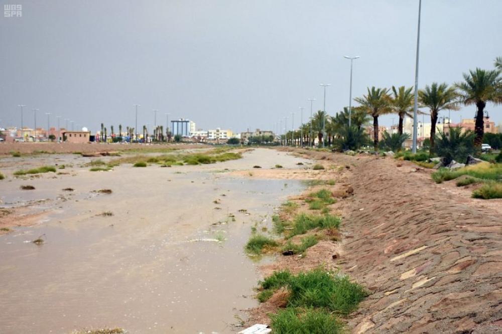 بالصور .. هطول أمطار على مراكز وقرى الرس