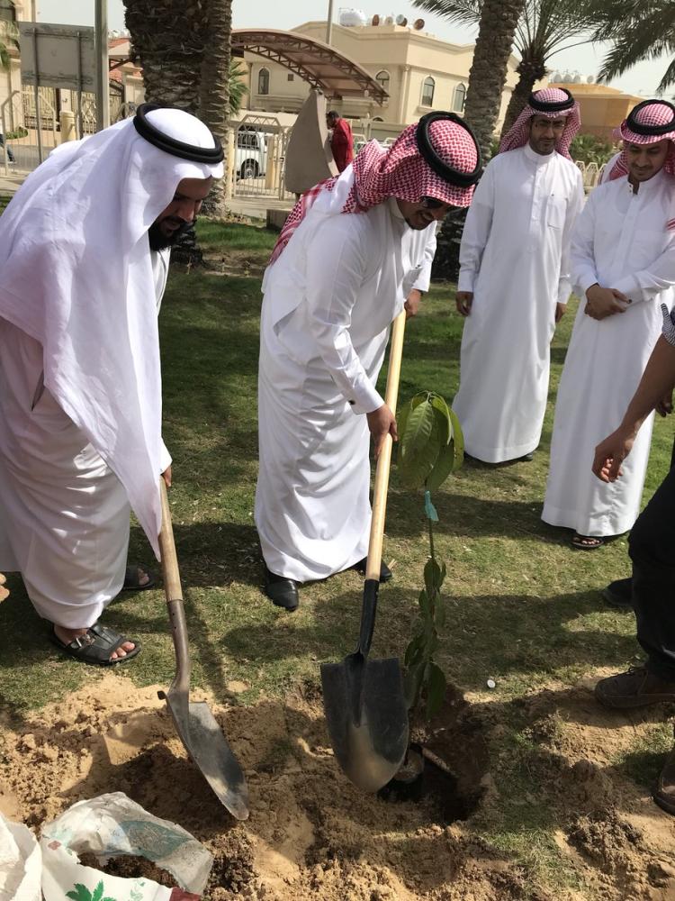 مبادرة لزراعة 1000 شجرة مثمرة فى حدائق الخبر