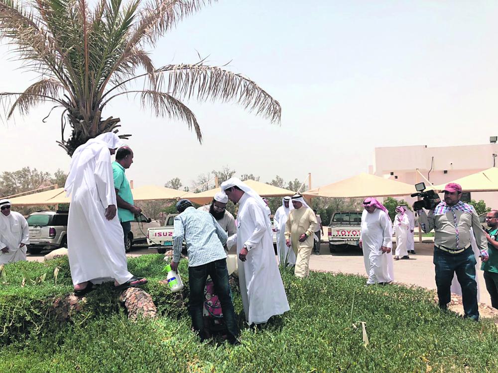 «حفارات النخيل» ورشة بمتنزه الأحساء الوطني