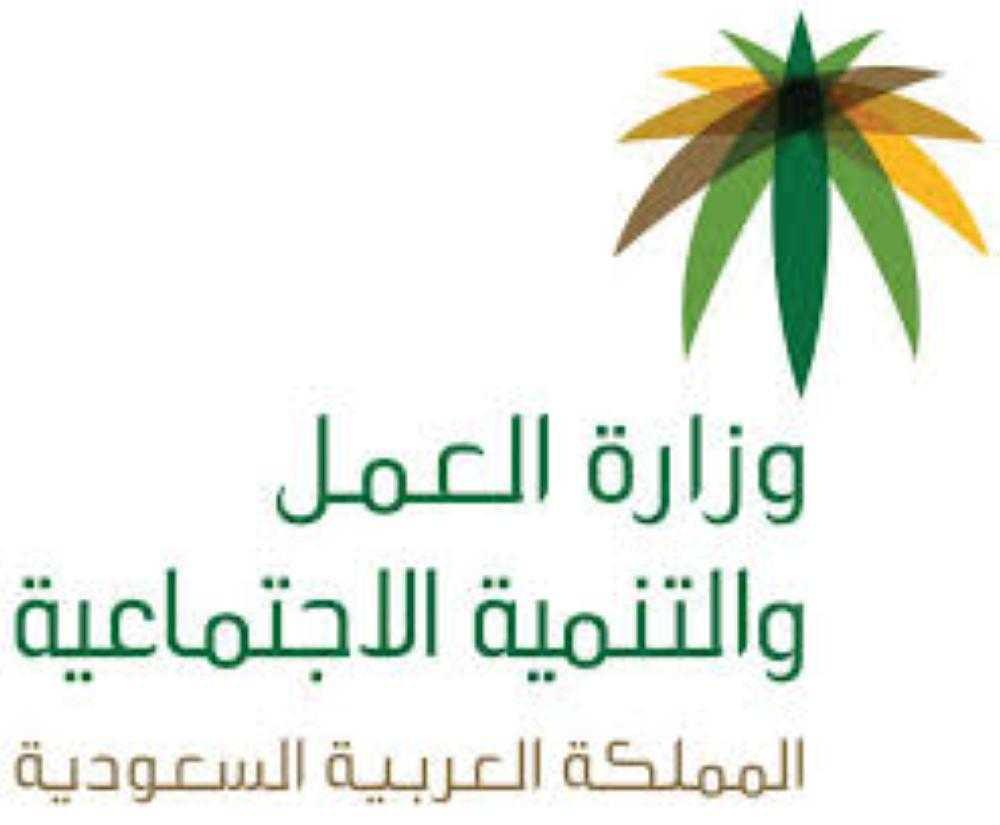 ضبط 9 منشآت مخالفة فى الأحساء