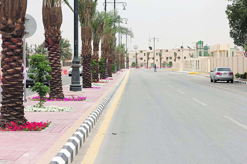 بقيق تتجمل للعيد بـ 35 ألف زهرة