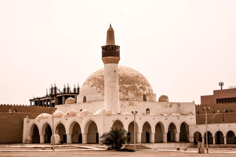 واحة الأحساء .. 
