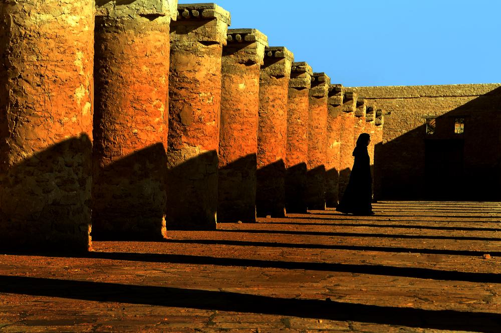 واحة الأحساء .. 