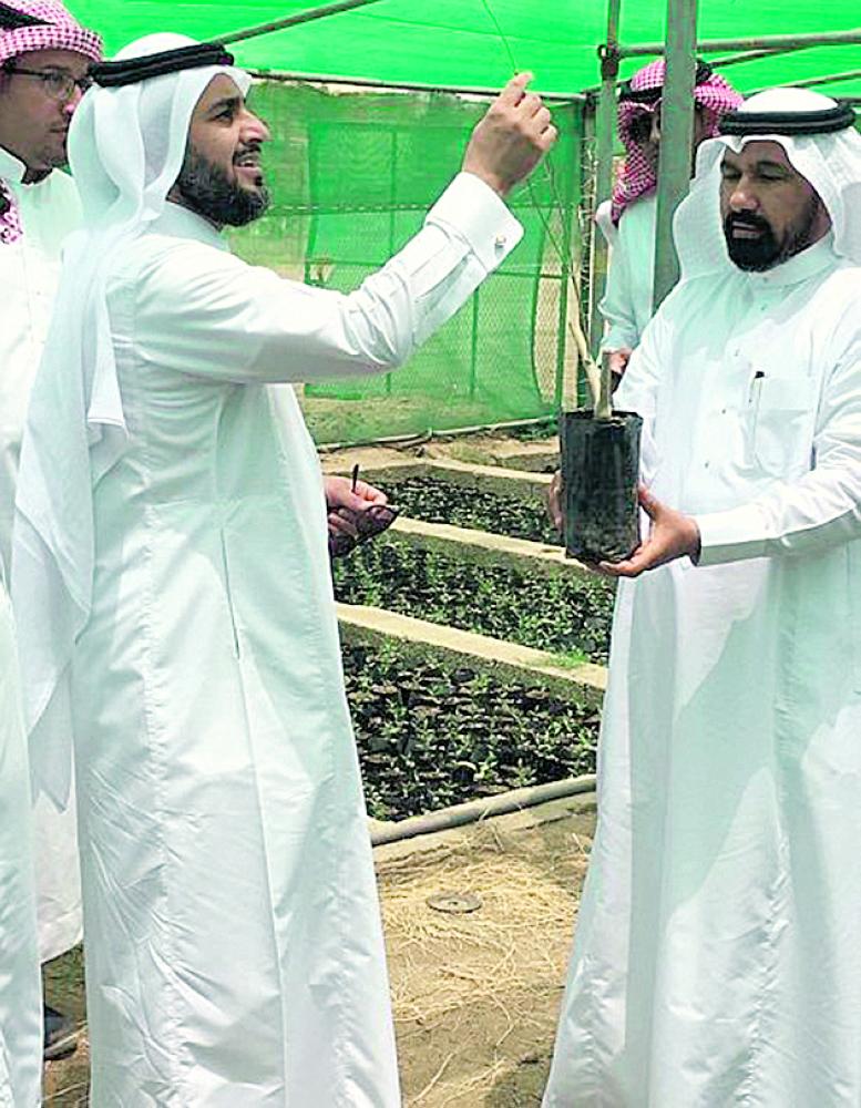نائب وزير البيئة يطلع على مشروع تأهيل المدرجات الزراعية