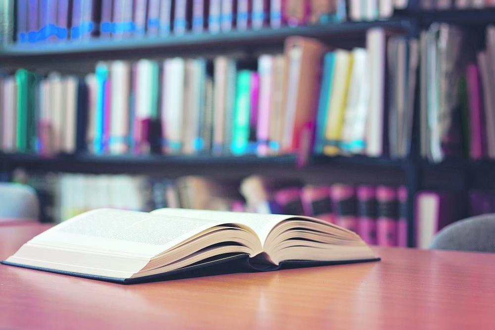 الرواية بين التأثير الفردي والتفاعل الاجتماعي