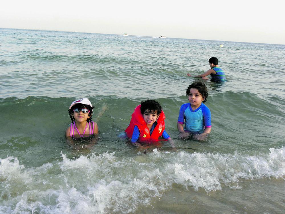تعاون بين «حرس الحدود» و«ملكية الجبيل»
