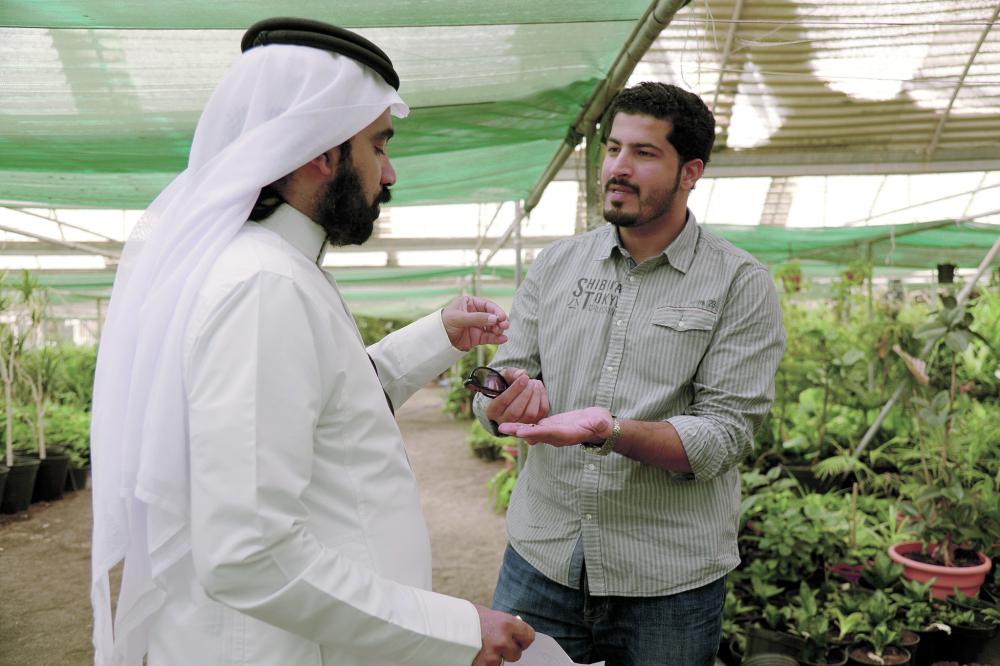 «الصبار» ينقي هواء المنازل ونفسية الإنسان