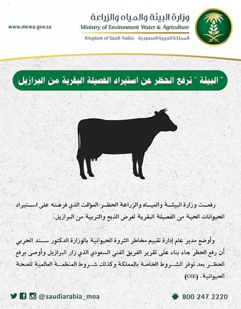 رفع الحظر عن استيراد الفصيلة البقرية من البرازيل