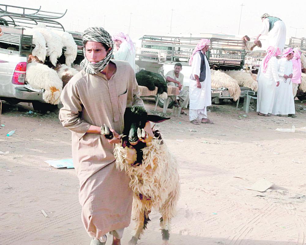 مواشي «النعيمي» الأكثر طلبًا خلال عيد الأضحى بالشرقية
