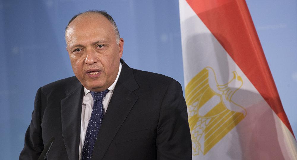 مصر تشدد على تسريع مفاوضات سد النهضة