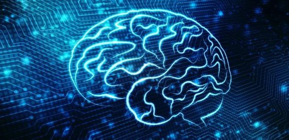 كيف تعمل «الساعة العصبية» فى أدمغتنا؟