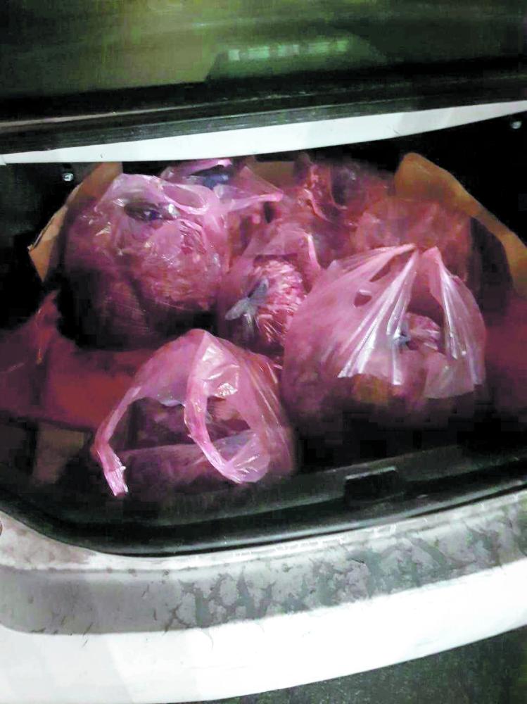 ضبط ربع طن لحوم فاسدة داخل سيارتين بالقطيف