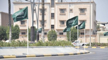 الشرقية تكتسي اللون الأخضر في ذكرى الوطن