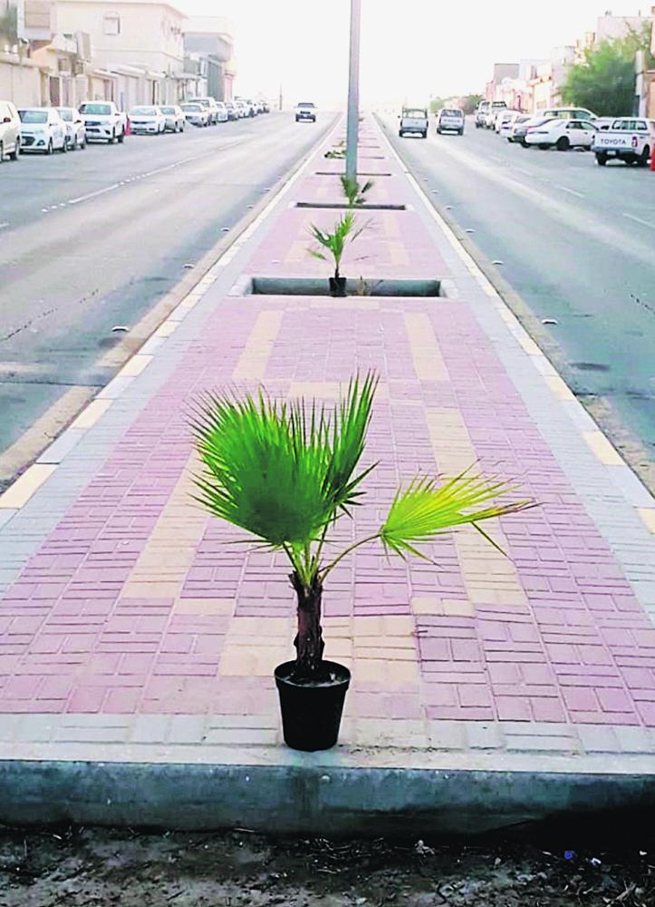 صيانة الجزر الوسطى في شوارع النعيرية