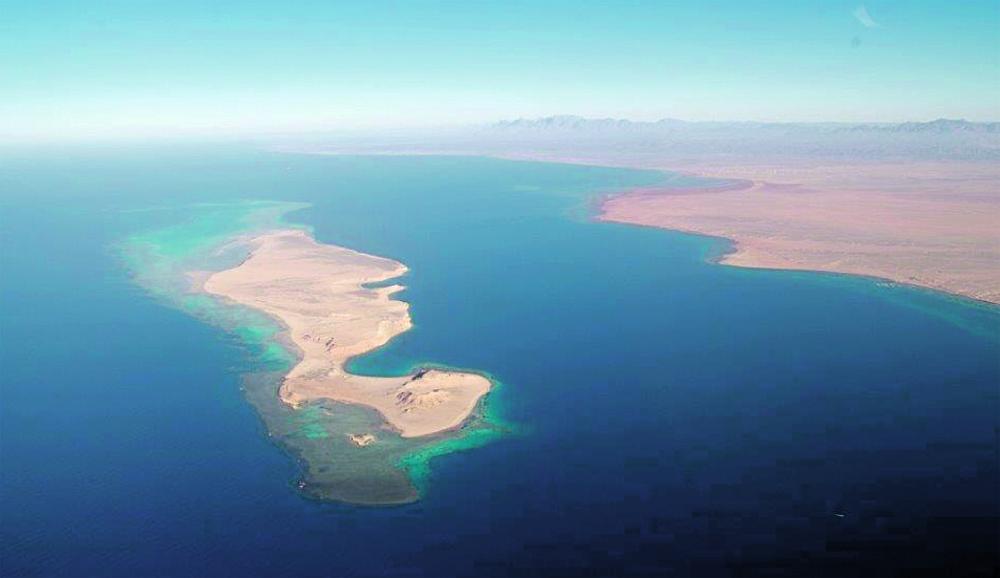 22 ألف وظيفة يوفرها مشروع «أمالا»