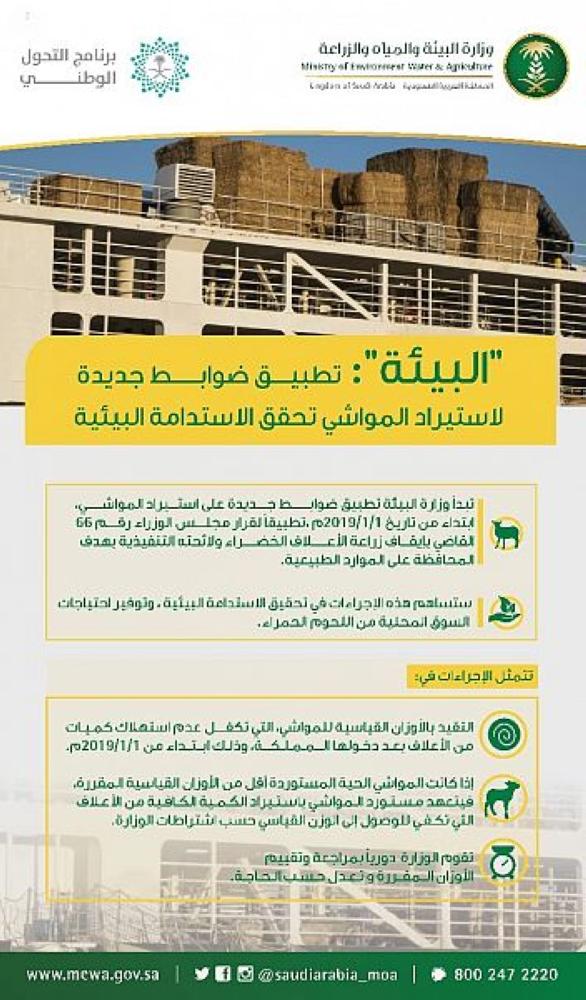 «البيئة»: ضوابط جديدة لاستيراد المواشي تحقق الاستدامة البيئية