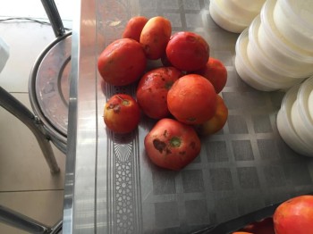 إغلاق مخبز غير مرخص بالدمام
