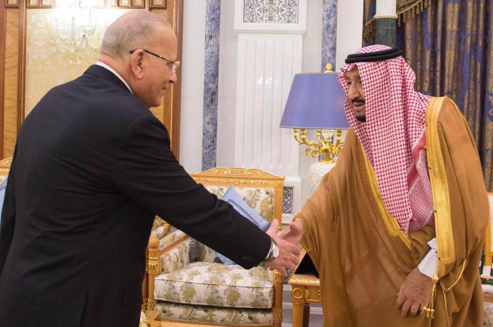 الملك يستعرض التعاون الثنائى مع وزير العدل المصري
