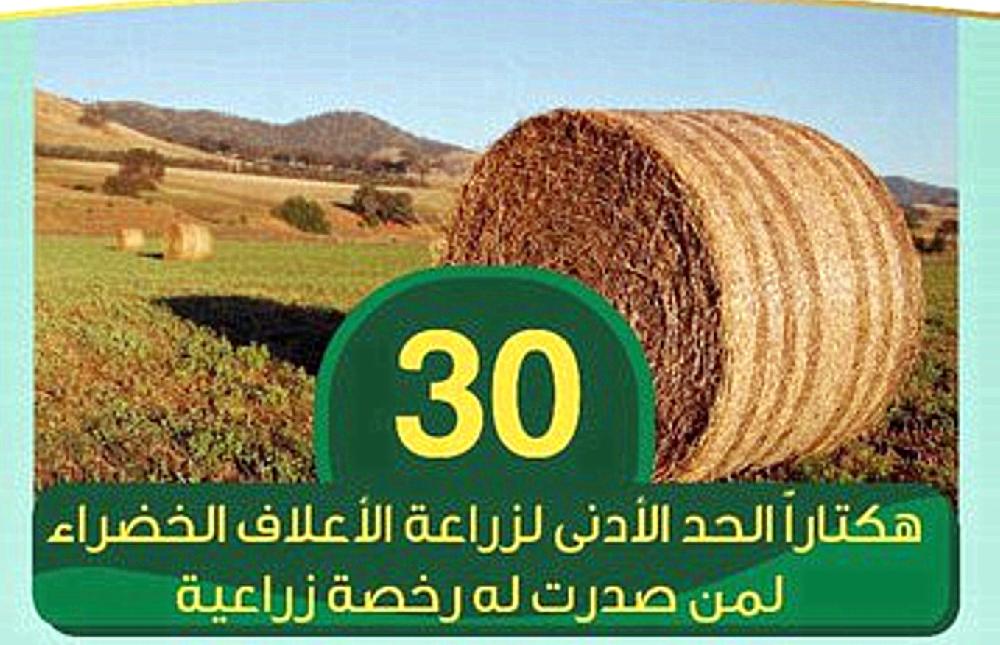 البيئة: 30 هكتاراً حدًا أدنى لزراعة الأعلاف