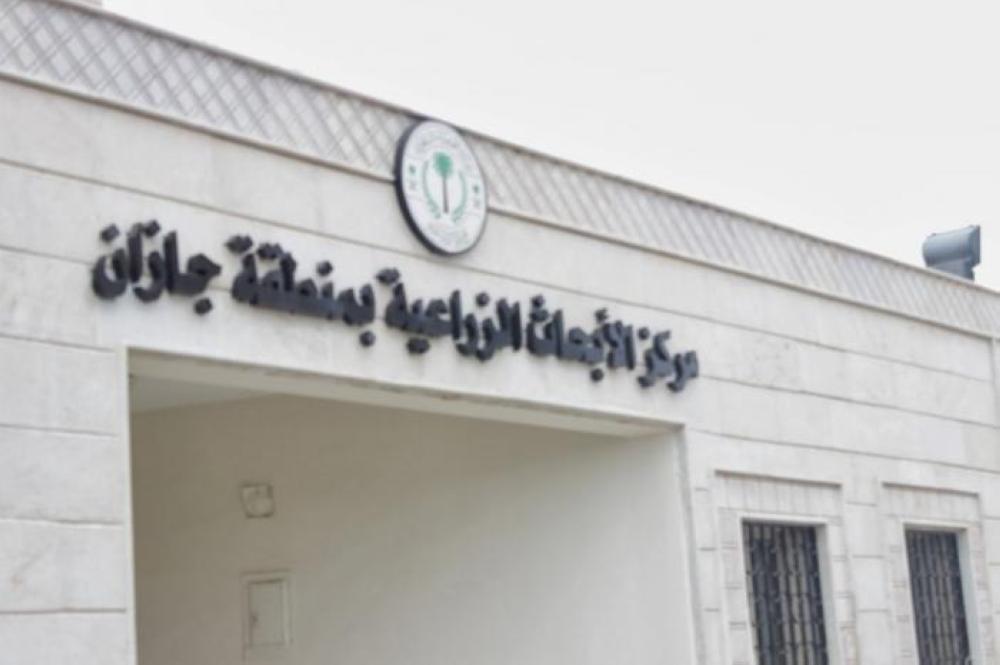 بدء التجارب الحقلية لزراعة 'الكاجو' في جازان                              