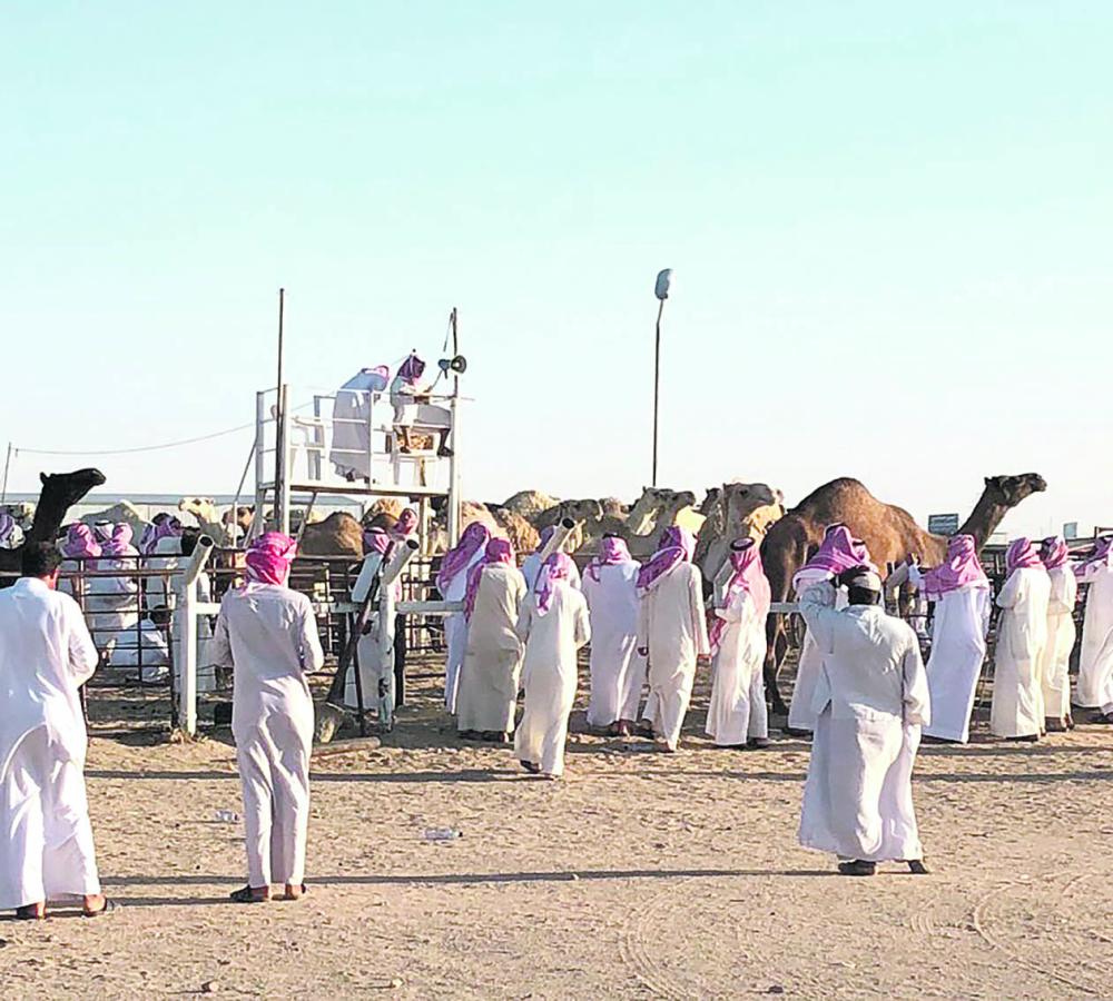 حفر الباطن.. توسع عمراني ومطالب بتطوير الخدمات