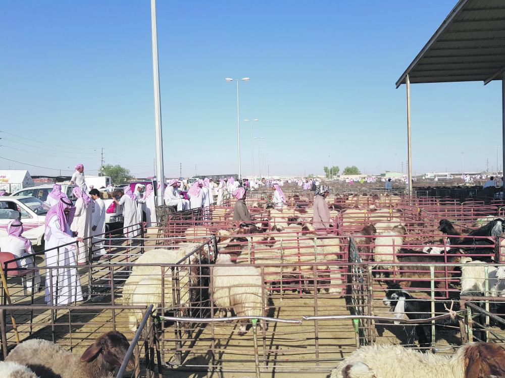 حفر الباطن.. توسع عمراني ومطالب بتطوير الخدمات