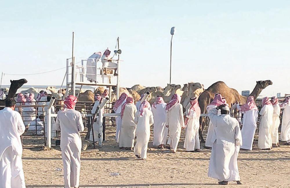 حفر الباطن.. توسع عمراني ومطالب بتطوير الخدمات