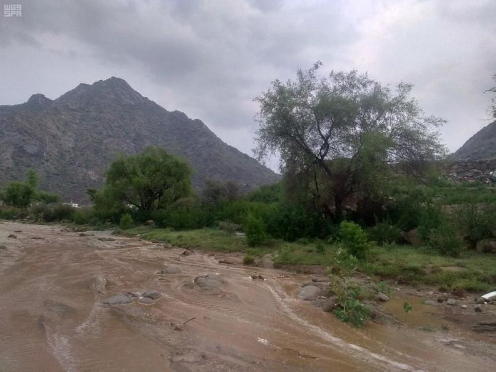 بالصور.. أمطار على محافظة بارق