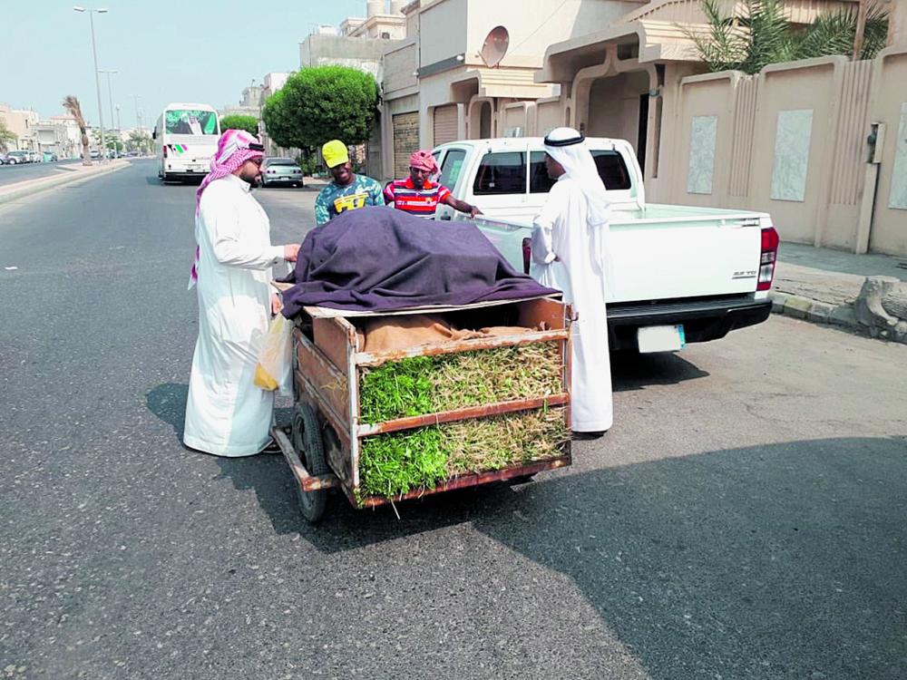 استجابة لـ 