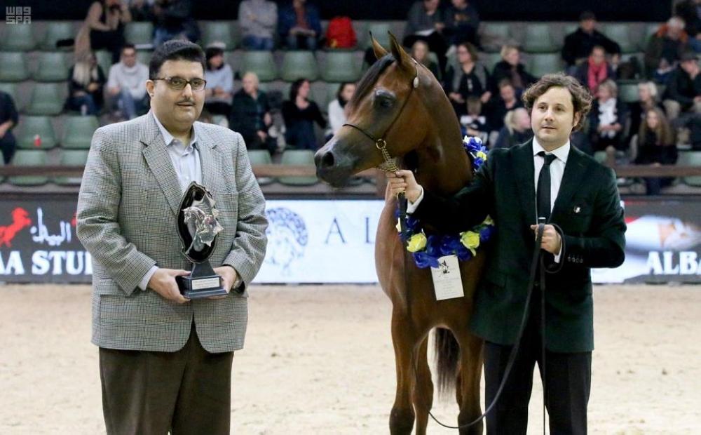 'تمام عذبة'  تحصد فضيتين في البطولة الأوروبية لجمال الخيل 