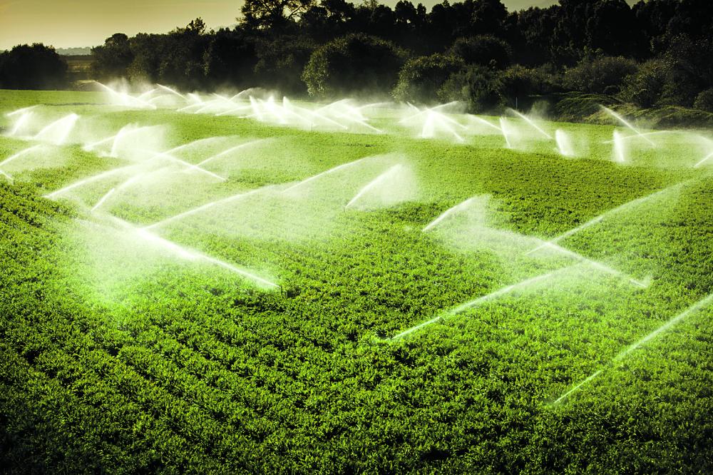 Agriculture Blog صندوق التنمية الزراعية في الرياض