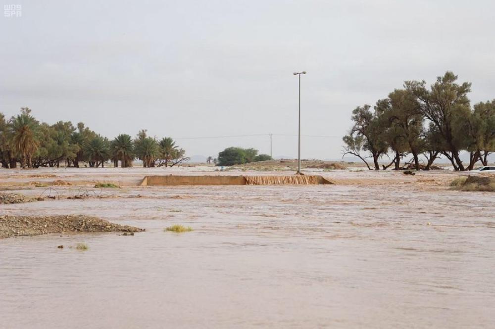 الأمطار تروي أرض القصيم