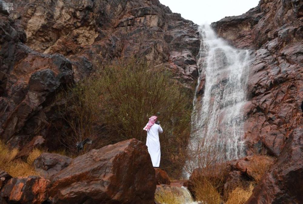 سيول4