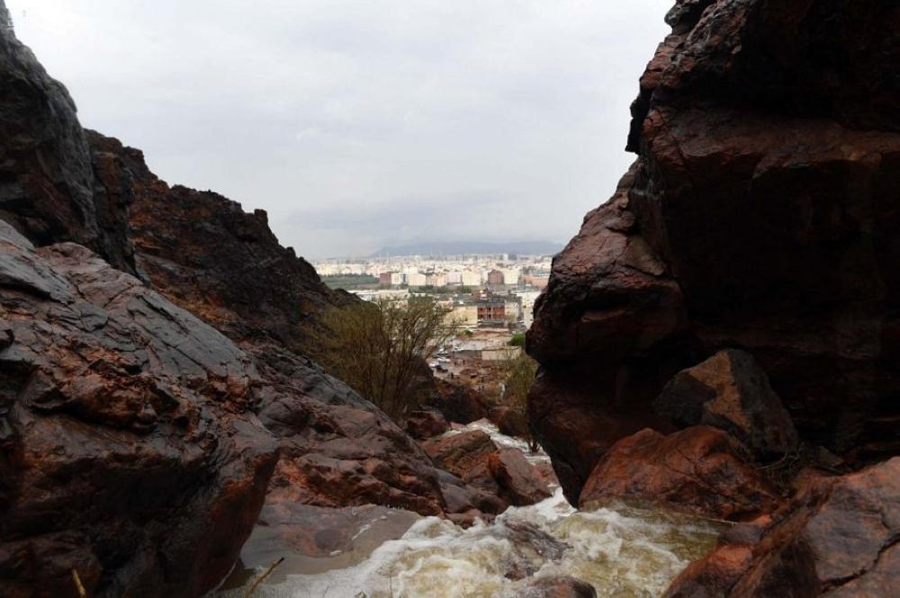 سيول5