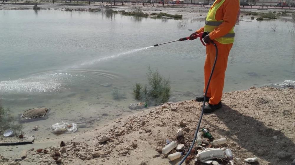 مكافحة الحشرات بمواقع تجمعات مياه الأمطار بالجبيل