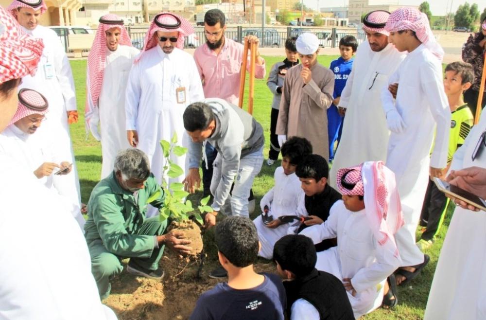 800 شجرة وشتلة تزين النعيرية