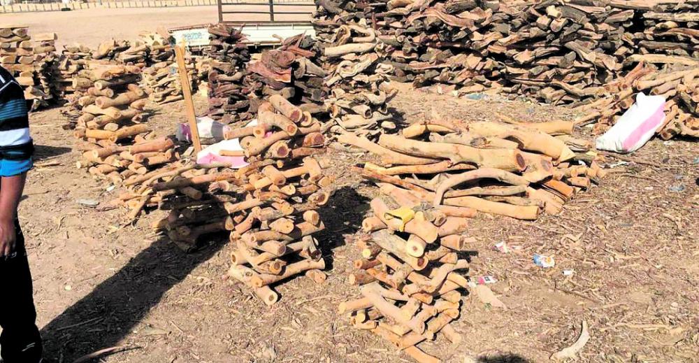حملات تفتيشية على بيع «الحطب» في 4 محافظات