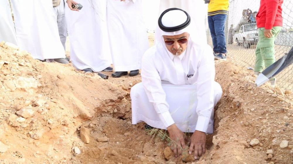 طرق الرياض تتزين بـ 8 آلاف شجرة  
