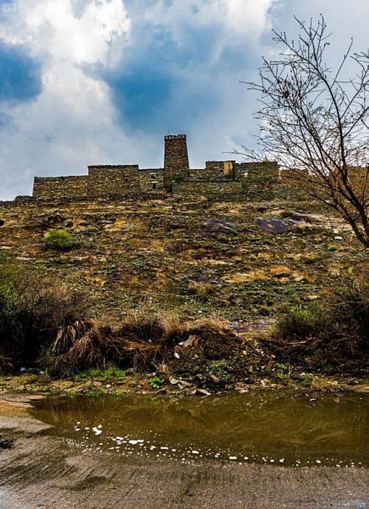 بالصور.. الأمطار تنعش منتزهات الباحة