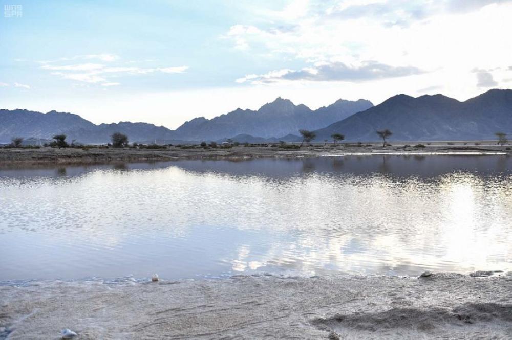 أمطار غزيرة على تبوك