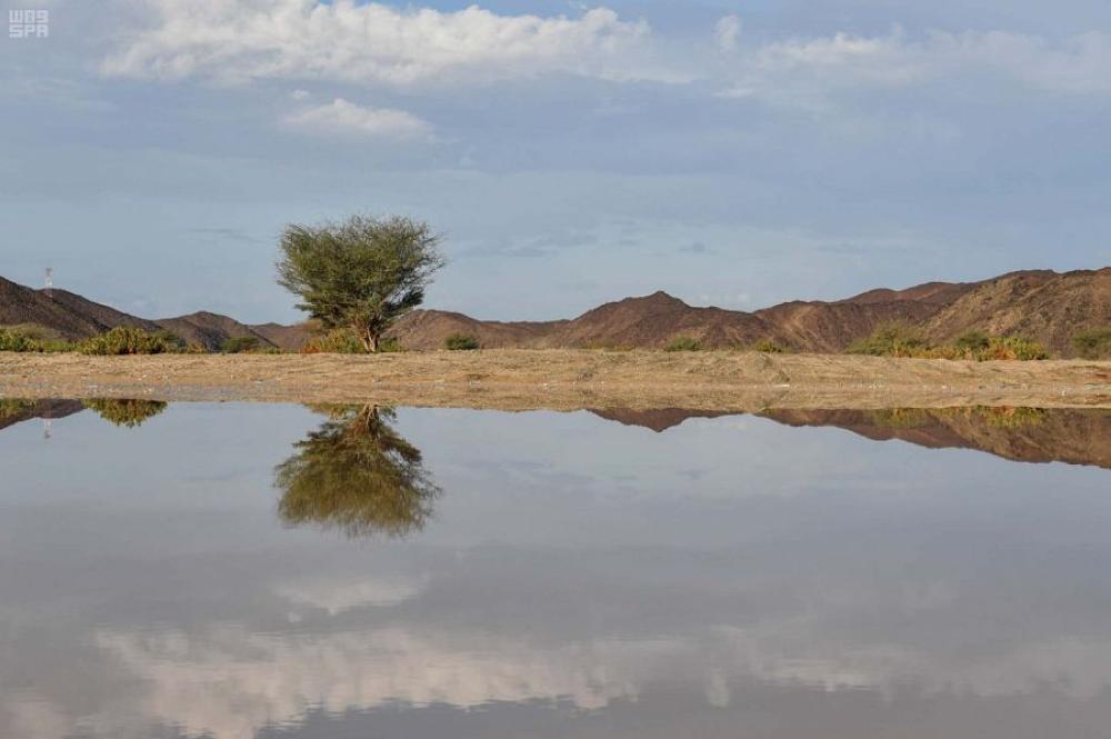أمطار غزيرة على تبوك