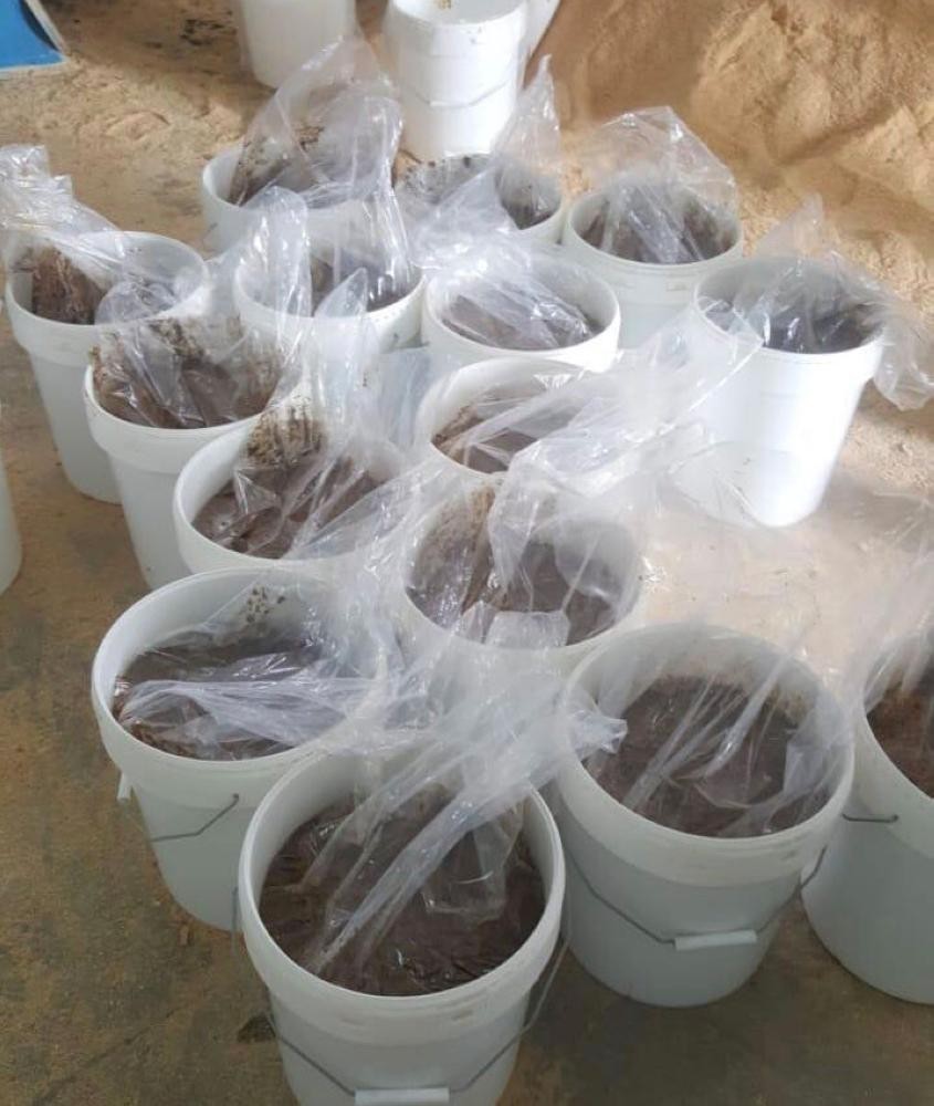 مداهمة مستودع «معسل» بالأحساء