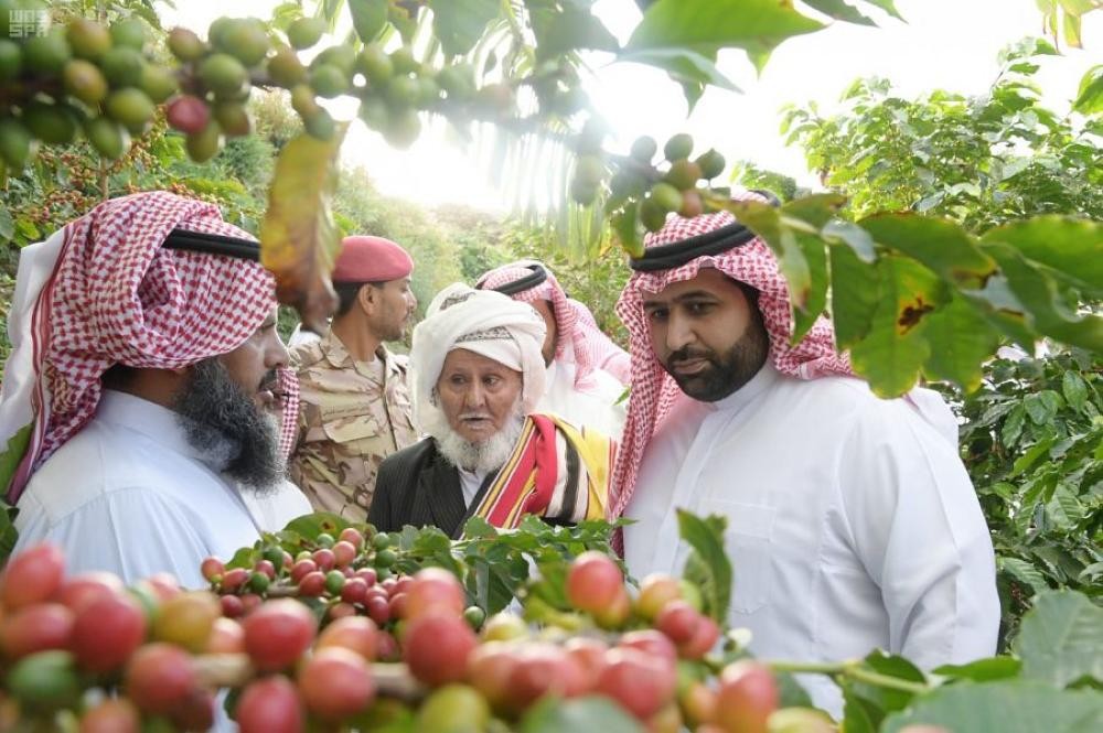 نائب أمير جازان يزور «مهرجان البن»