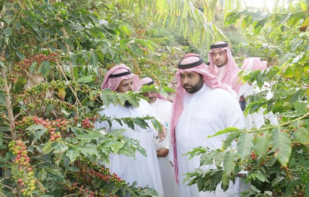 نائب أمير جازان يزور «مهرجان البن»
