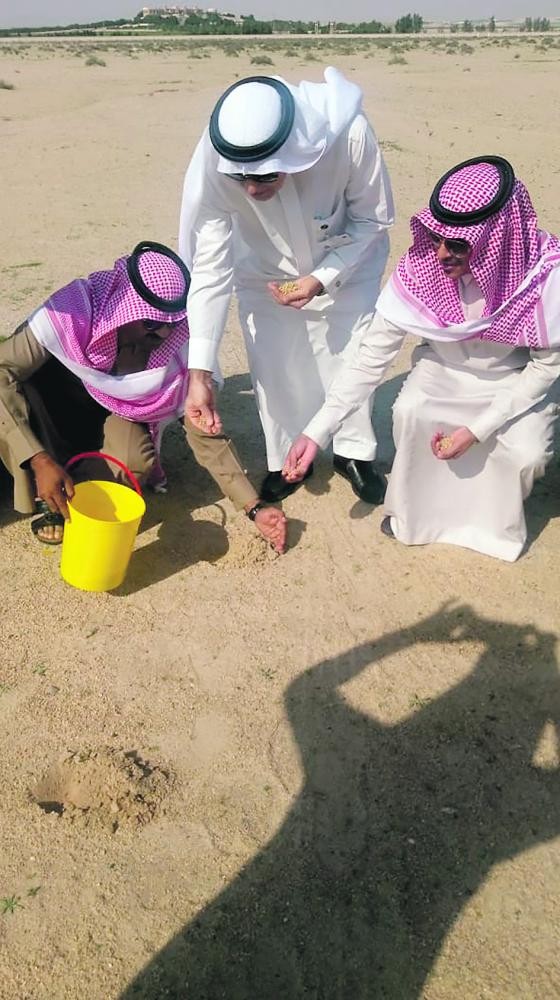 «زراعة الشرقية» تنثر البذور الرعوية بقرية العليا